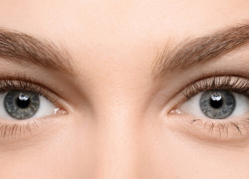 Lashes, Brows, and Wax – New Beauty Services Are Here!